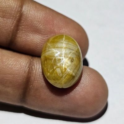 13.61 Carats Natural Coyote Brown Star Sapphire 15.77 x 12.17 x 7.20 mm