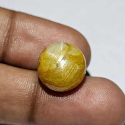 14.37 Carats Natural Driftwood Star Sapphire 13.56 x 12.74 x 7.51 mm