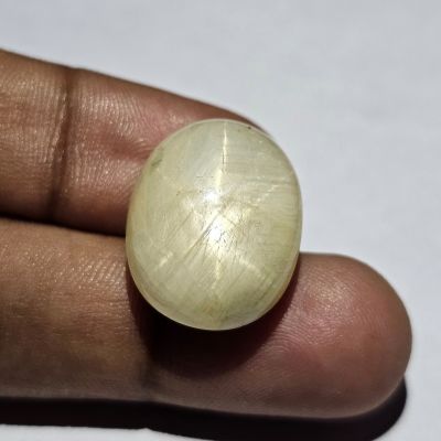 34.90   carats  Natural Teak Sapphire 20.25x15.96x9.32mm