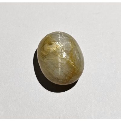 15.33   carats  Natural Coyote Brown  Sapphire  14.73x11.80x7.68 mm