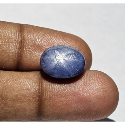 12.46 Carats Natural Rhino Star Sapphire 14.14 x 11.75 x 7.06 mm