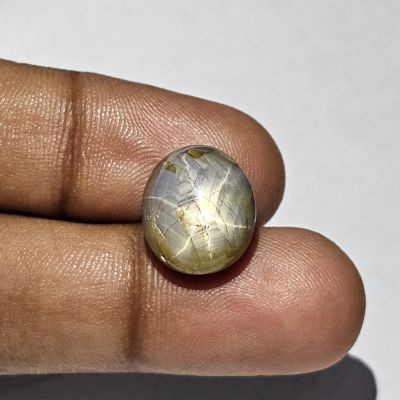 13.69 Carats Natural Davys Grey Star Sapphire 13.94 x 12.03 x 7.16 mm