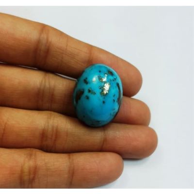 49.84 Carats Irani Natural Turquoise 23.25 x 18.52 x 14.83 mm