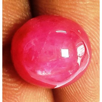 7.92 Carats Burmese Star Ruby 10.94 x 9.34 x 6.78 mm