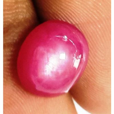 6.92 Carats Burmese Ruby 10.55 x 9.21 x 6.81 mm