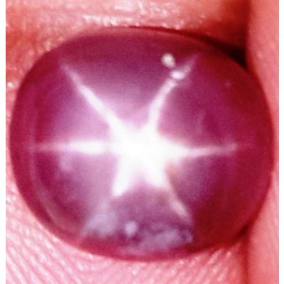 6.07 Carats Burmese Star Ruby 9.39x8.28x6.65 mm