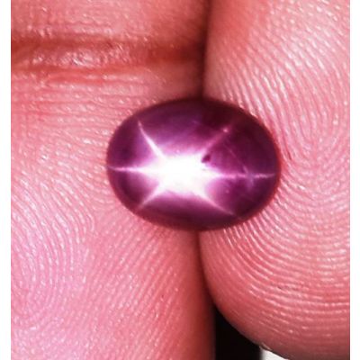 2.6 Carats Burmese Star Ruby 8.75x6.64x3.93 mm