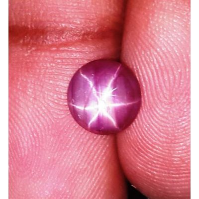 1.73 Carats Burmese Star Ruby 7.30x7.25x2.99 mm