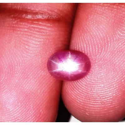 1.31 Carats Burmese Star Ruby 7.59x5.46x2.82 mm