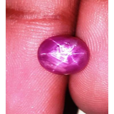 3.55 Carats Kenya Mines Star Ruby 9.01x6.92x5.09 mm