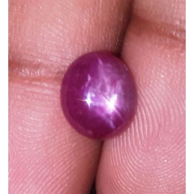 3.06 Carats Kenya Mines Star Ruby 8.86x7.70x4.06 mm