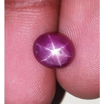 3.43 Carats Kenya Mines Star Ruby 8.23x6.98x6.99 mm
