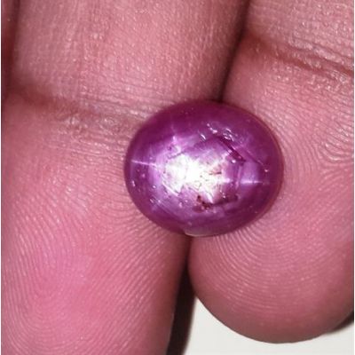 7.94 Carats Kenya Mines Star Ruby 11.40x10.14x6.07 mm