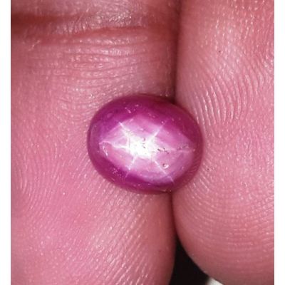 3.83 Carats Kenya Mines Star Ruby 8.06x6.80x5.98 mm