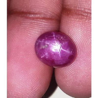6.89 Carats Kenya Mines Star Ruby 10.53x8.89x6.42 mm
