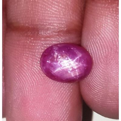 3.21 Carats Kenya Mines Star Ruby 9.45x7.30x3.99 mm