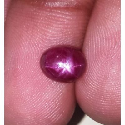 2.71 Carats Kenya Mines Star Ruby 7.71x6.30x4.79 mm