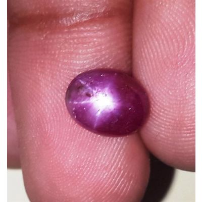 3.19 Carats Kenya Mines Star Ruby 9.08x7.29x4.33 mm