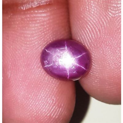3.32 Carats Kenya Mines Star Ruby 8.69x7.08x4.70 mm
