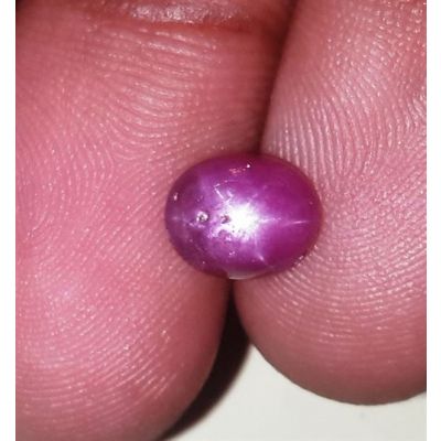 2.67 Carats Kenya Mines Star Ruby 7.89x6.40x4.73 mm