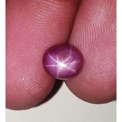 3.23 Carats Kenya Mines Star Ruby 7.80x6.67x5.32 mm