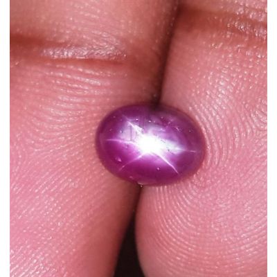 2.62 Carats Kenya Mines Star Ruby 8.03x5.96x4.62 mm
