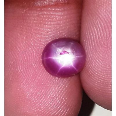 2.41 Carats Kenya Mines Star Ruby 7.28x6.73x4.23 mm
