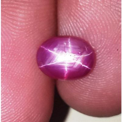 2.63 Carats Kenya Mines Star Ruby 8.07x6.23x4.30 mm
