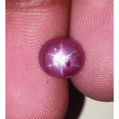 2.61 Carats Kenya Mines Star Ruby 7.69x7.59x4.19 mm