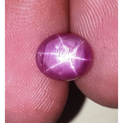 3 Carats Kenya Mines Star Ruby 8.06x7.28x4.72 mm