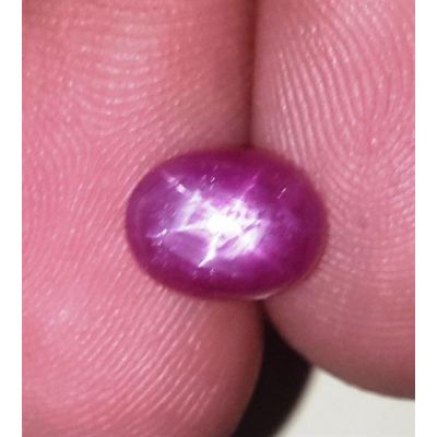 2.69 Carats Kenya Mines Star Ruby 8.11x6.21x4.38 mm