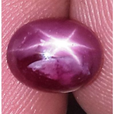 2.44 Carats Kenya Mines Star Ruby 7.97x6.23x4.33 mm