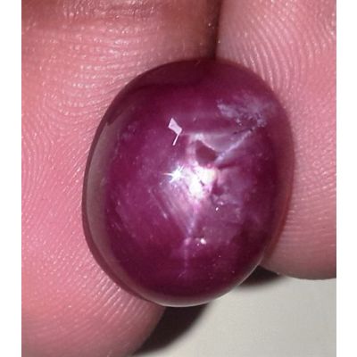 15.77 Carats African Star Ruby 15.40x12.29x7.38 mm