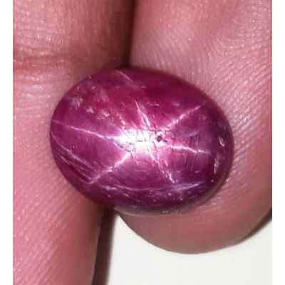 7.52 Carats African Star Ruby 13.67x10.79x4.71 mm