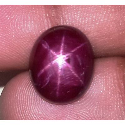 10.67 Carats African Star Ruby 13.30x11.08x6.34 mm
