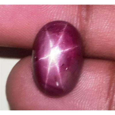 11.17 Carats African Star Ruby 14.81x9.93x6.82 mm