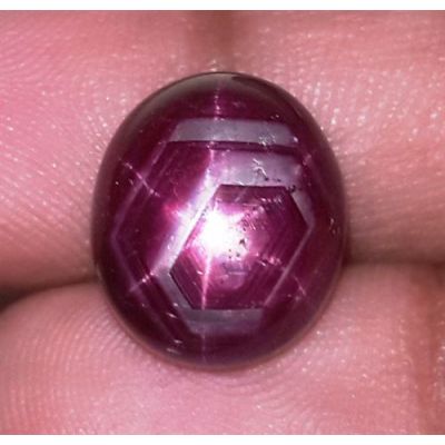 13.37 Carats African Star Ruby 13.12x11.36x7.81 mm