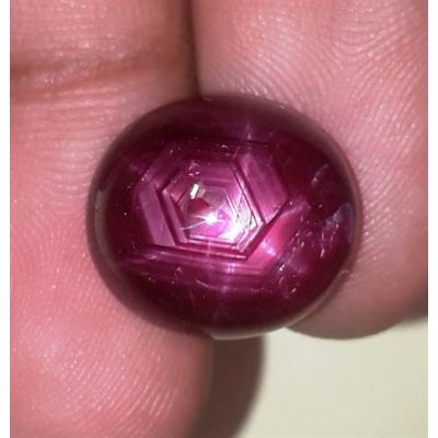 16.52 Carats African Star Ruby 14.64x13.44x7.37 mm