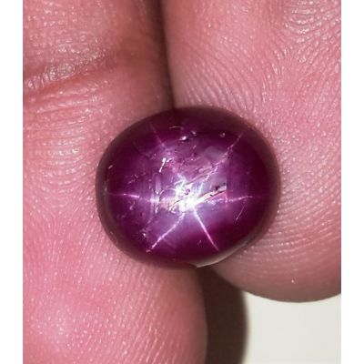 6.83 Carats African Star Ruby 10.98x9.68x5.66 mm