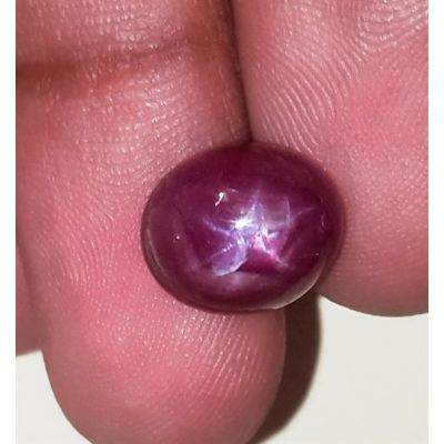 8.08 Carats African Star Ruby 11.29x9.52x6.48 mm