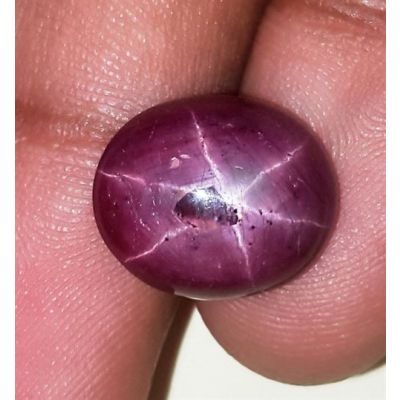 12.03 Carats African Star Ruby 14.09x11.96x6.47 mm