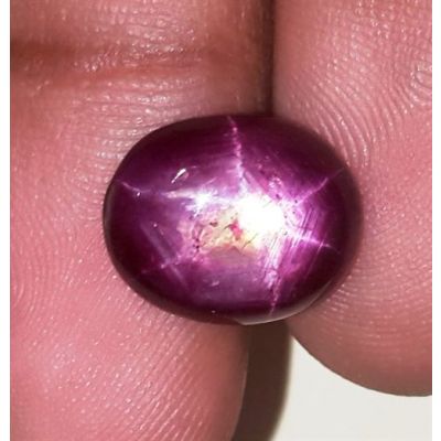 7.39 Carats African Star Ruby 12.55x10.23x4.84 mm