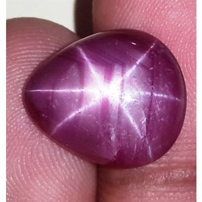 12.82 Carats African Star Ruby 15.01x13.06x6.31 mm