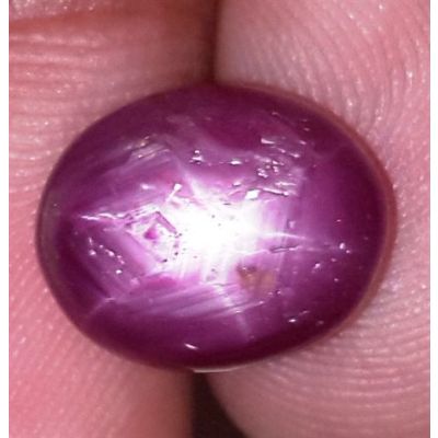 9.02 Carats African Star Ruby 11.73x9.53x7.09 mm