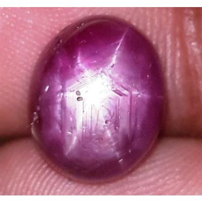 8.63 Carats African Star Ruby 11.47x6.69x6.95 mm