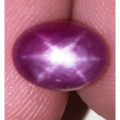 3.06 Carats African Star Ruby 8.38x6.19x4.87 mm