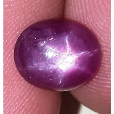3.11 Carats African Star Ruby 8.90x7.74x4.08 mm