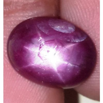 8.1 Carats African Star Ruby 13.49x10.20x5.27 mm