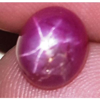 3.47 Carats African Star Ruby 7.96x6.81x5.53 mm