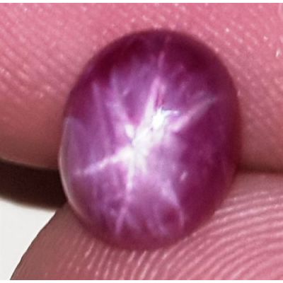 2.12 Carats African Star Ruby 8.14x6.60x3.41 mm